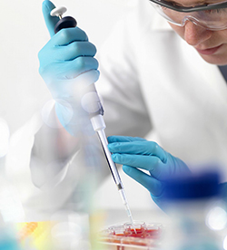 菏泽迁户亲子鉴定如何办理,菏泽上户口亲子鉴定需要如何做