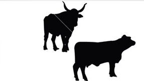 菏泽无创孕期亲子鉴定