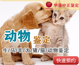 菏泽动物鉴定