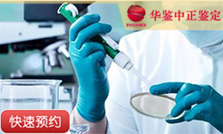 菏泽同一父系亲缘鉴定